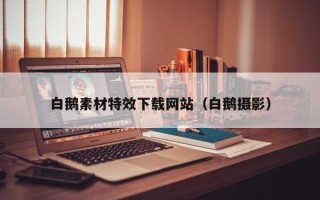 鹰潭白鹅素材特效下载网站（白鹅摄影）